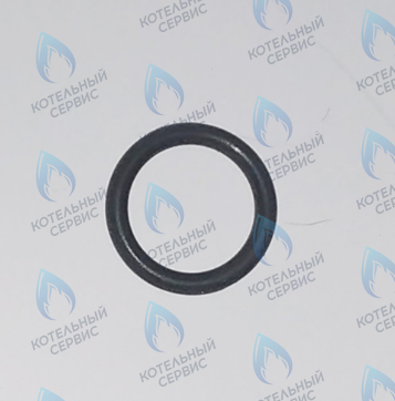 45560250 Кольцо уплотнительное FERROLI в Уфе