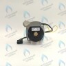 PH-W21CCW50-WB79PR-5PIN-Комп Двигатель насоса 1000L/H аналог WILO INTVACL 15/5-2 Protherm Гепард 23 MTV / MOV вер. 19, Пантера 25 KTV / KOV, 30 KTV вер. 19 (без улитки) (против часовой, втулка 35мм, колесо 68/21мм) (0020097216) в Уфе