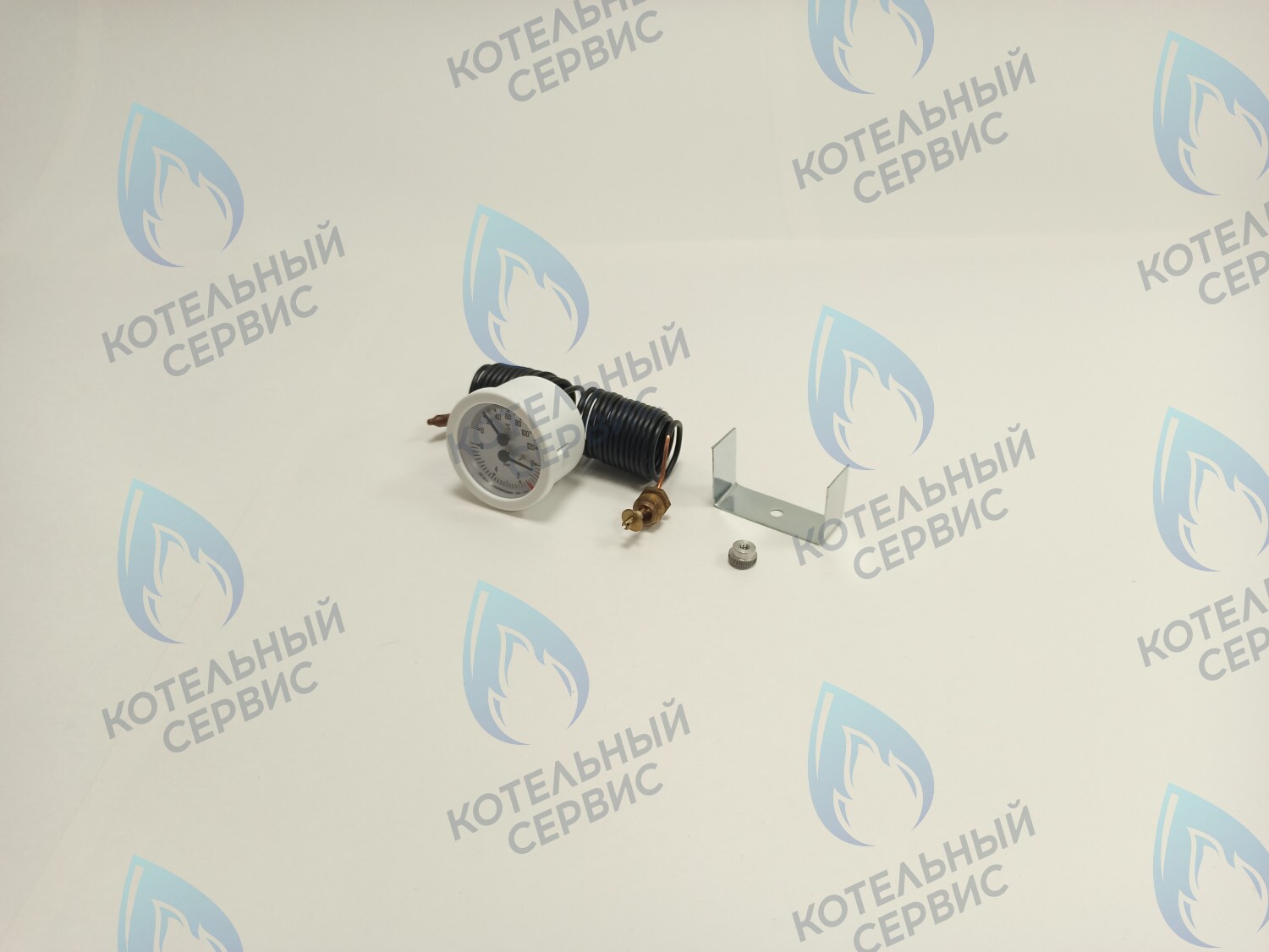 39806020 Термоманометр 0-6 bar 0-120C  (36400790) FERROLI PEGASUS F3 в Уфе