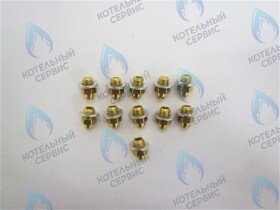 Комплект форсунок LPG на сжиженный газ D0,79 (11шт/комп)  (ITA398907242) FERROLI