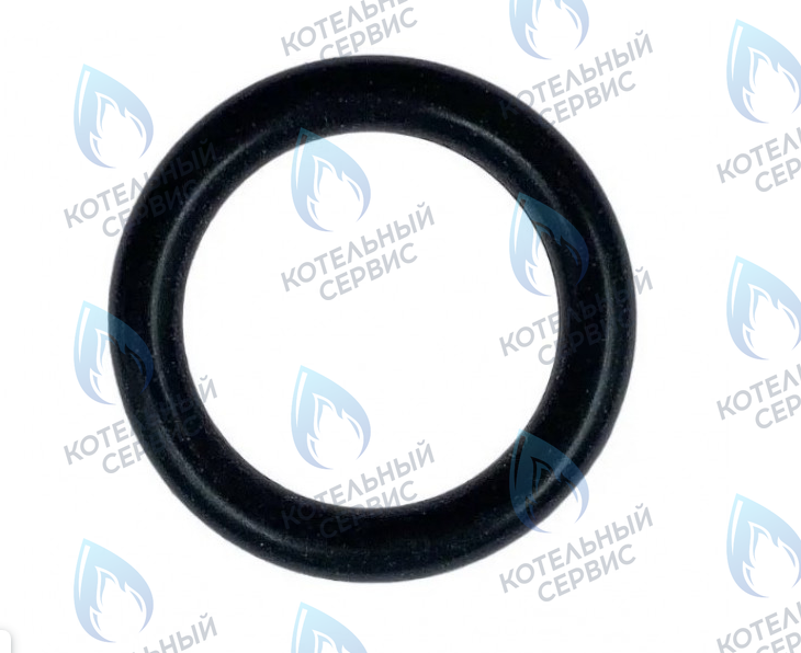 0020118658 Прокладка 3x15мм PROTHERM в Уфе