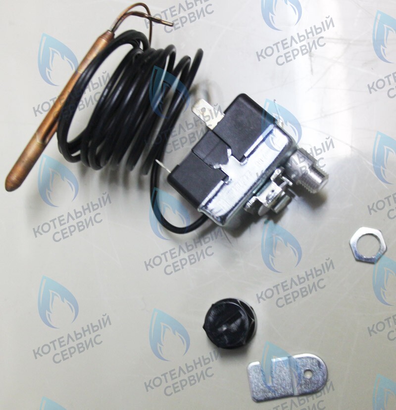 0020027536 Термостат продуктов сгор.поз.конт PROTHERM в Уфе