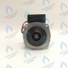 PH-N28CW60-GN95 Двигатель насоса GM-PUMP NVN 15/6 Navien (30000469A, 30000469B, NAPU9GLPCT36, 30022723B, 30022723A) в Уфе