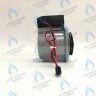 PH-N28CW60-GN95 Двигатель насоса GM-PUMP NVN 15/6 Navien (30000469A, 30000469B, NAPU9GLPCT36, 30022723B, 30022723A) в Уфе