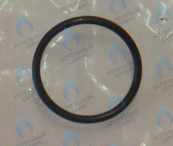 0020097226 Прокладка уплотнительная (комплект 10шт) PROTHERM в Уфе