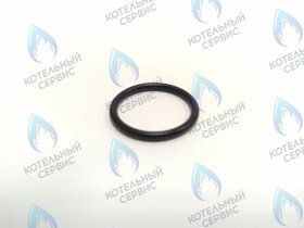 Прокладка 23,81x2,62 Lynx (H-RU), Ягуар JTV, Гепард (H-RU) PROTHERM