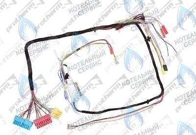 0020098000 Жгут проводов PROTHERM в Уфе