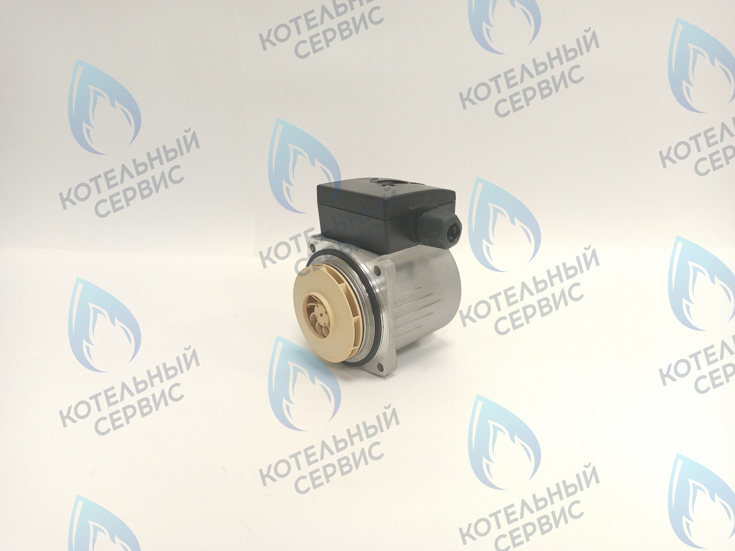 PH-P30CCW50-PR75 Двигатель насоса (против часовой) Protherm 15-50S (0020207146, 0020119604) в Уфе