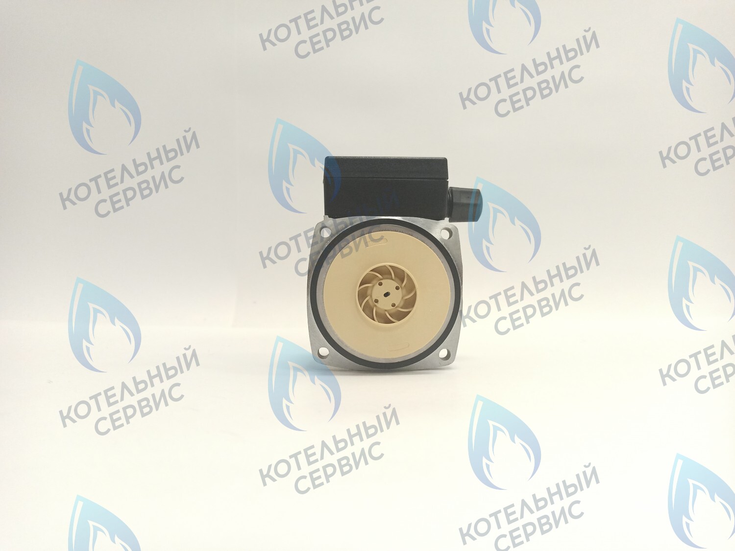 PH-P30CCW50-PR75 Двигатель насоса (против часовой) Protherm 15-50S (0020207146, 0020119604) в Уфе