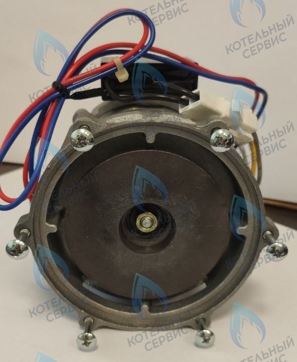 PH-S26CCW70-NK100-NI Двигатель циркуляционного насоса NANOKEM в Уфе