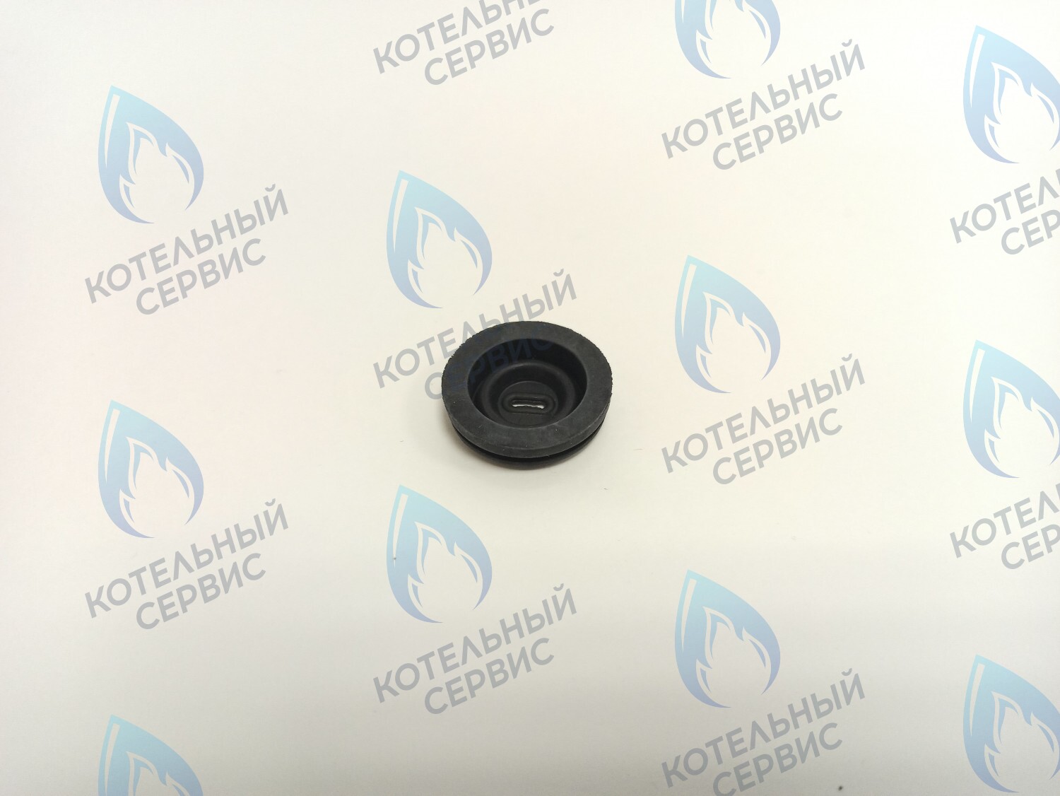 BI1002 115 Уплотнительное кольцо электро кабелей (BI1002 115) BIASI в Уфе