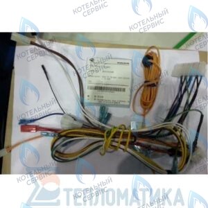 30003022A Жгут кабельный в сборе с коннекторами Atmo NAVIEN в Уфе