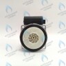 PH-W30CW50-GW95BX Двигатель насоса PUMP WB15/5 (без улитки) (по часовой стрелке) 15/5 (замена WILO 15/5 BAXI, NEVALUX, THERMONA, PROTHERM СКАТ K11) в Уфе