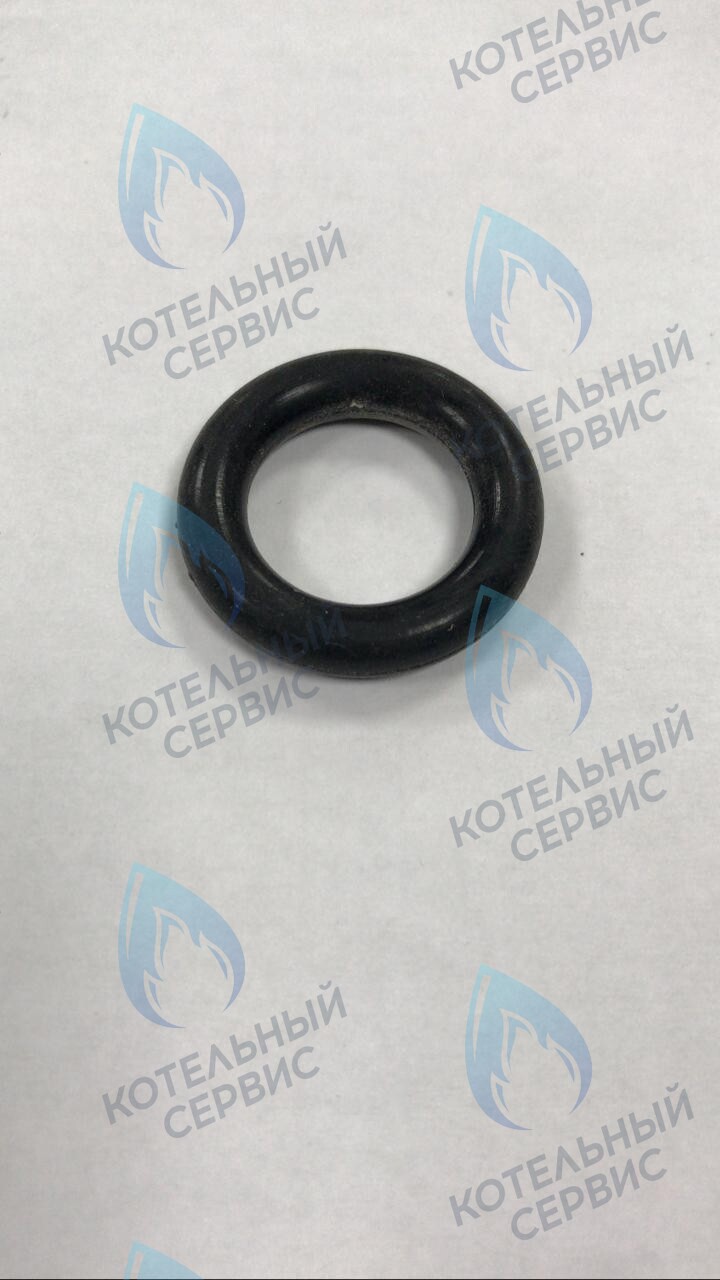 39864460 Прокладка O-ring циркуляционного насоса FERROLI в Уфе