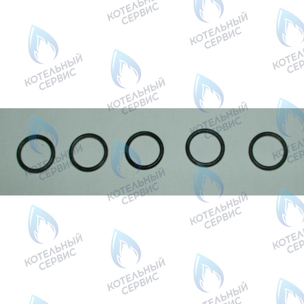 710045300 Уплотнение кольцевое d.17,96X2,62 BAXI в Уфе