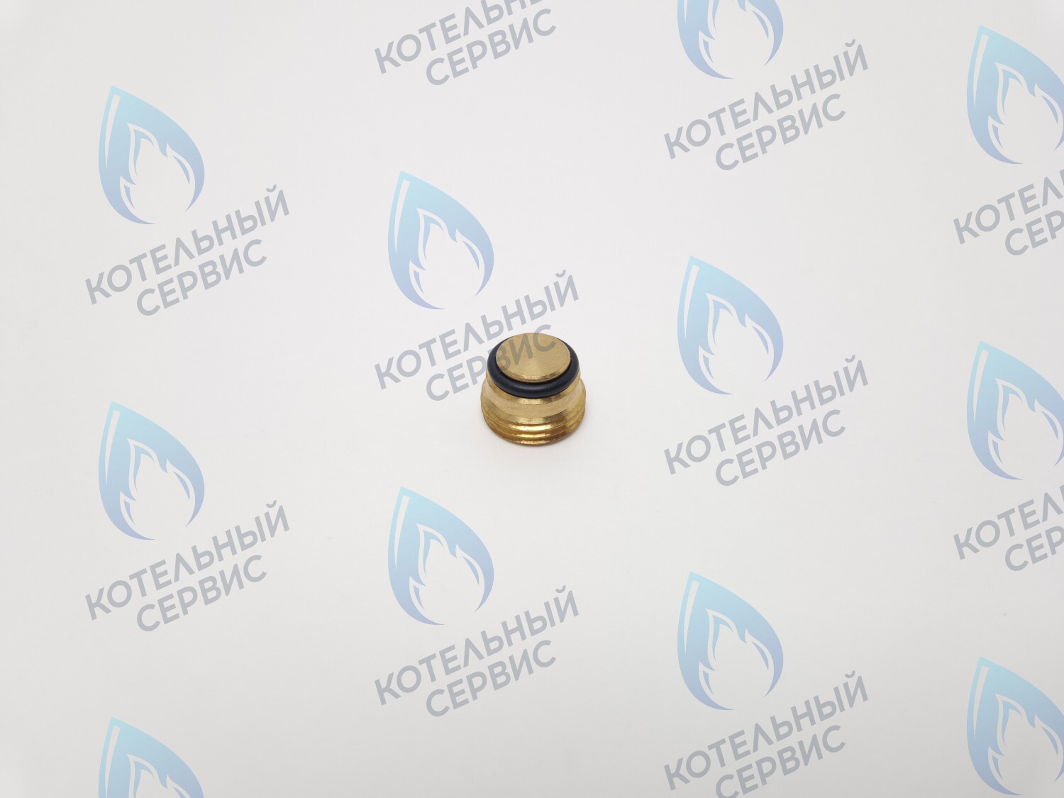 GVP020 Заглушка на клапан Sit 630 (0.972.061) в Уфе