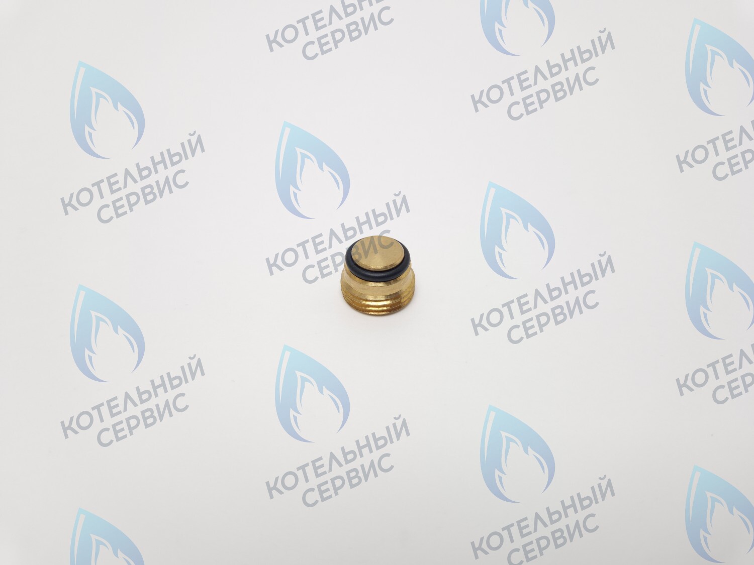 GVP020 Заглушка на клапан Sit 630 (0.972.061) в Уфе