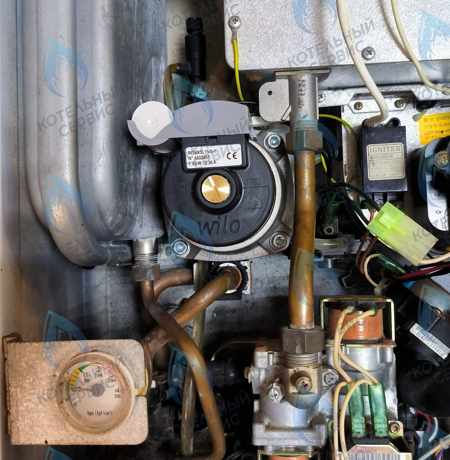 PMDS1AW50-WA82DS-Комп Насос циркуляционный 5м для MASTER GAS SEOUL 11-24 (2050118, 2050130), DAESUNG A16-24 (52050118, 52050130), ARDERIA 2.13-20, CELTIC-DS 3.13-3.20 (2050118, 2050130) в Уфе