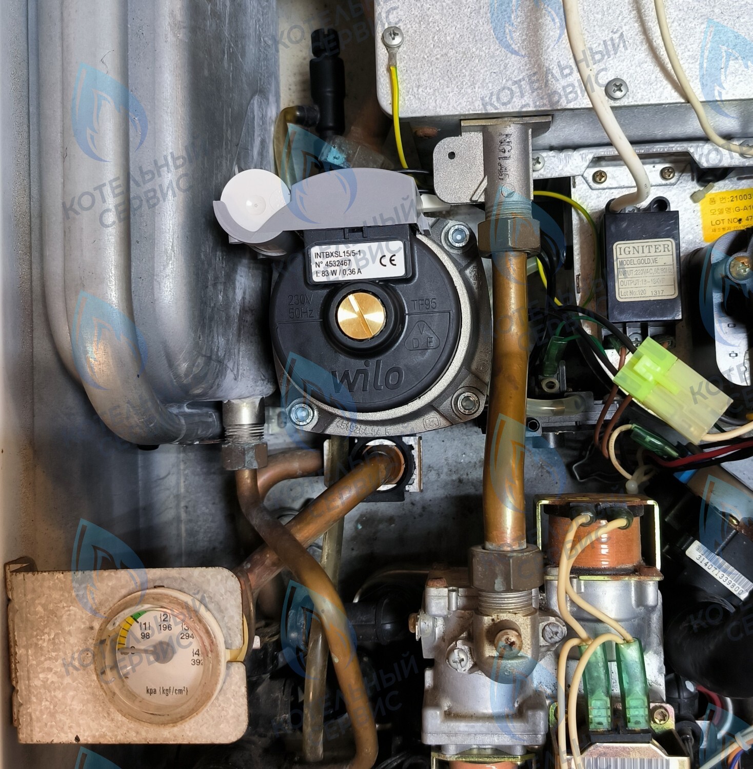 PMDS1AW50-WA82DS-Комп Насос циркуляционный 5м для MASTER GAS SEOUL 11-24 (2050118, 2050130), DAESUNG A16-24 (52050118, 52050130), ARDERIA 2.13-20, CELTIC-DS 3.13-3.20 (2050118, 2050130) в Уфе