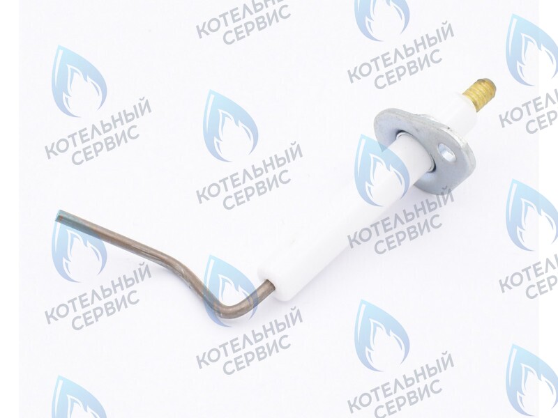 0020097415 Электрод ионизации Protherm Леопард 24 MTM-CC/1 (H-RU) в Уфе